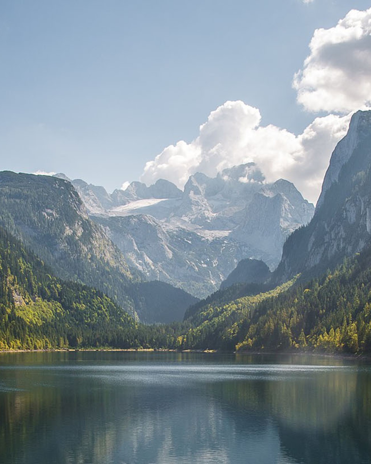 Willkommen bei ZF in Österreich