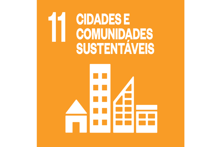 Cidades E Comunidades Sustentaveis