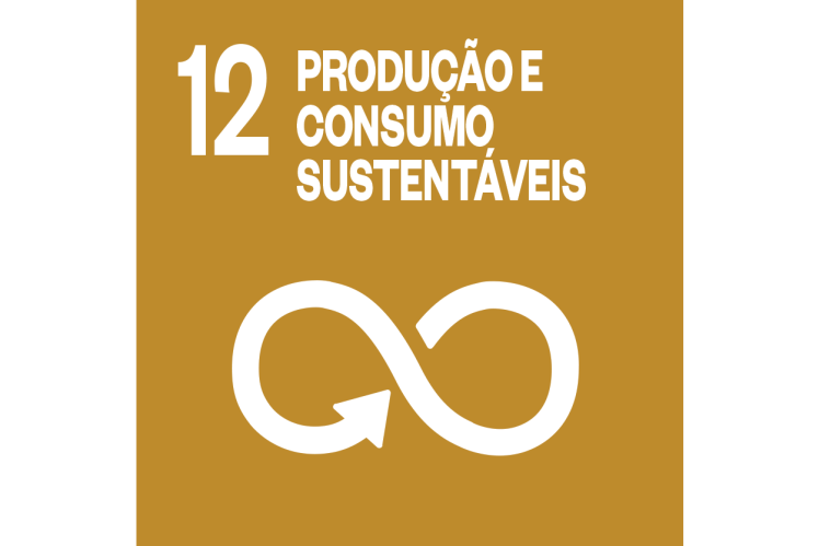 Producao E Consumo Sustentaveis