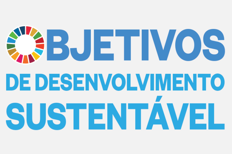 Objetivos De Desenvolvimento Sustentavel