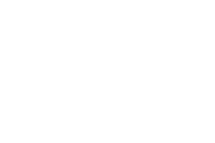 Příspěvek do soukromého penzijního fondu