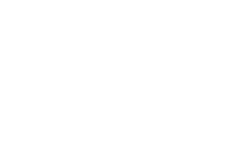TikTok Logo