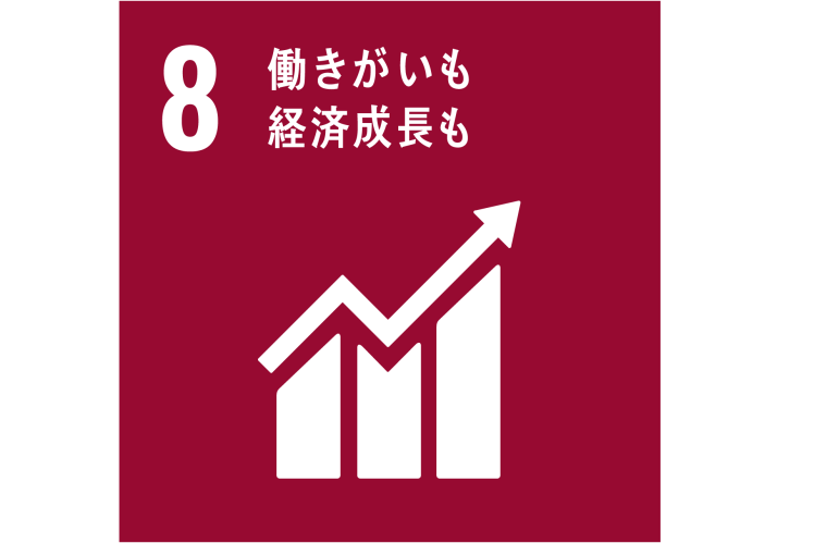 SDG8