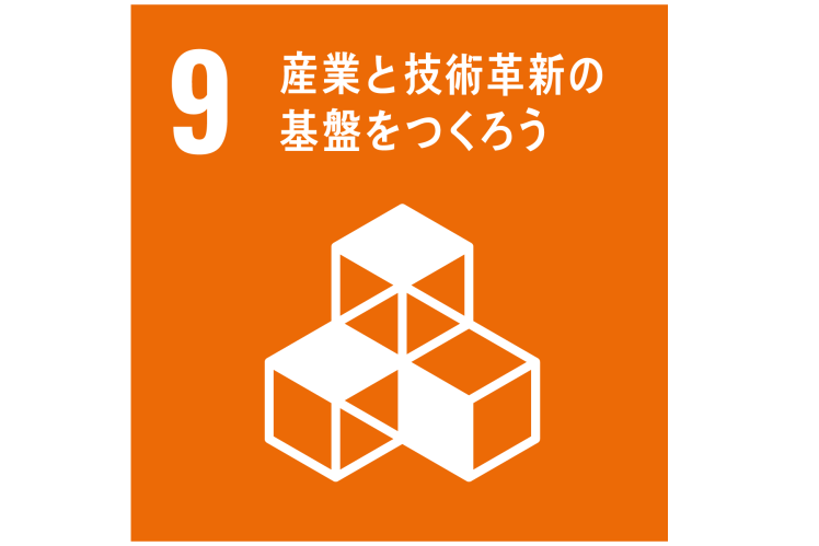 SDG9