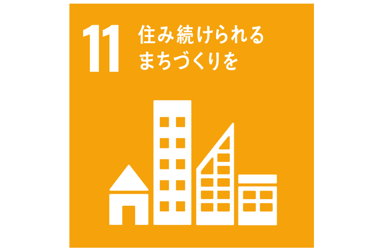 SDG11