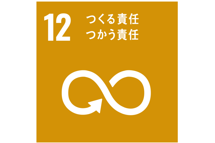 SDG12