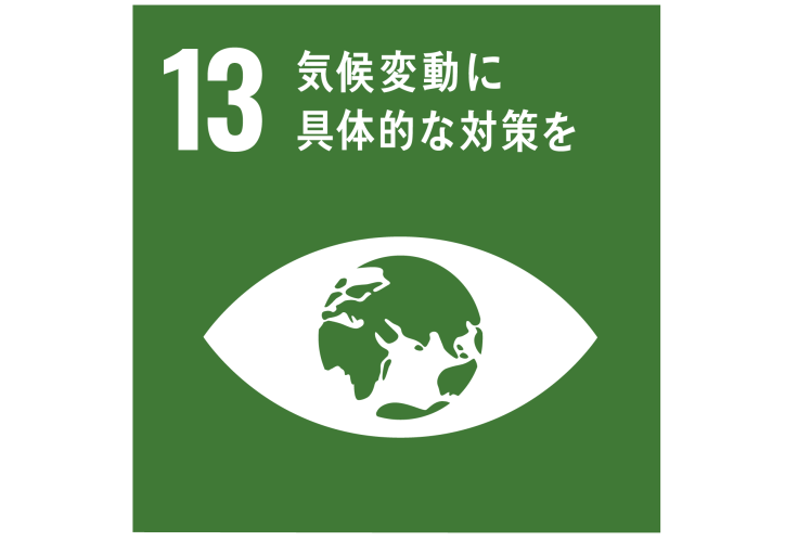 SDG13