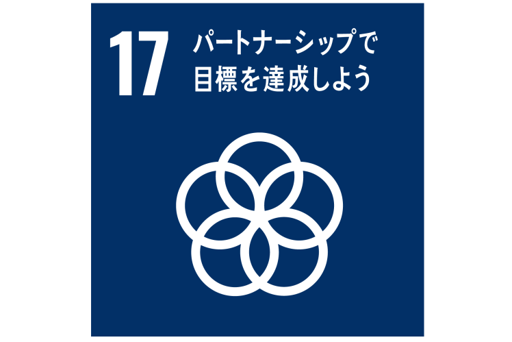 SDG17