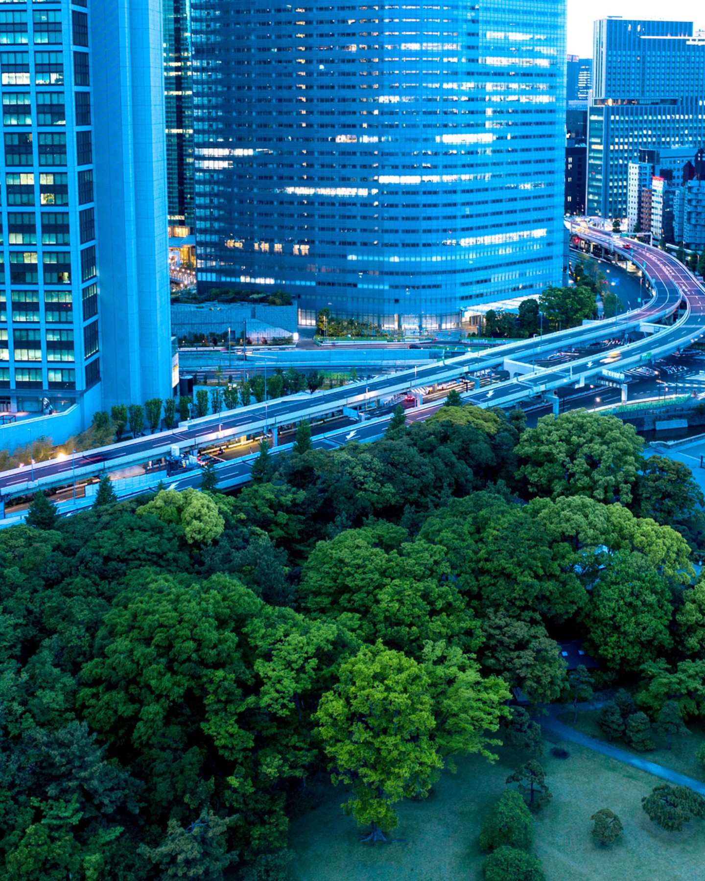 ZF-SustainableFinance-Bright-S_2048px