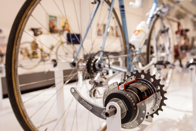 Sachs exhibition