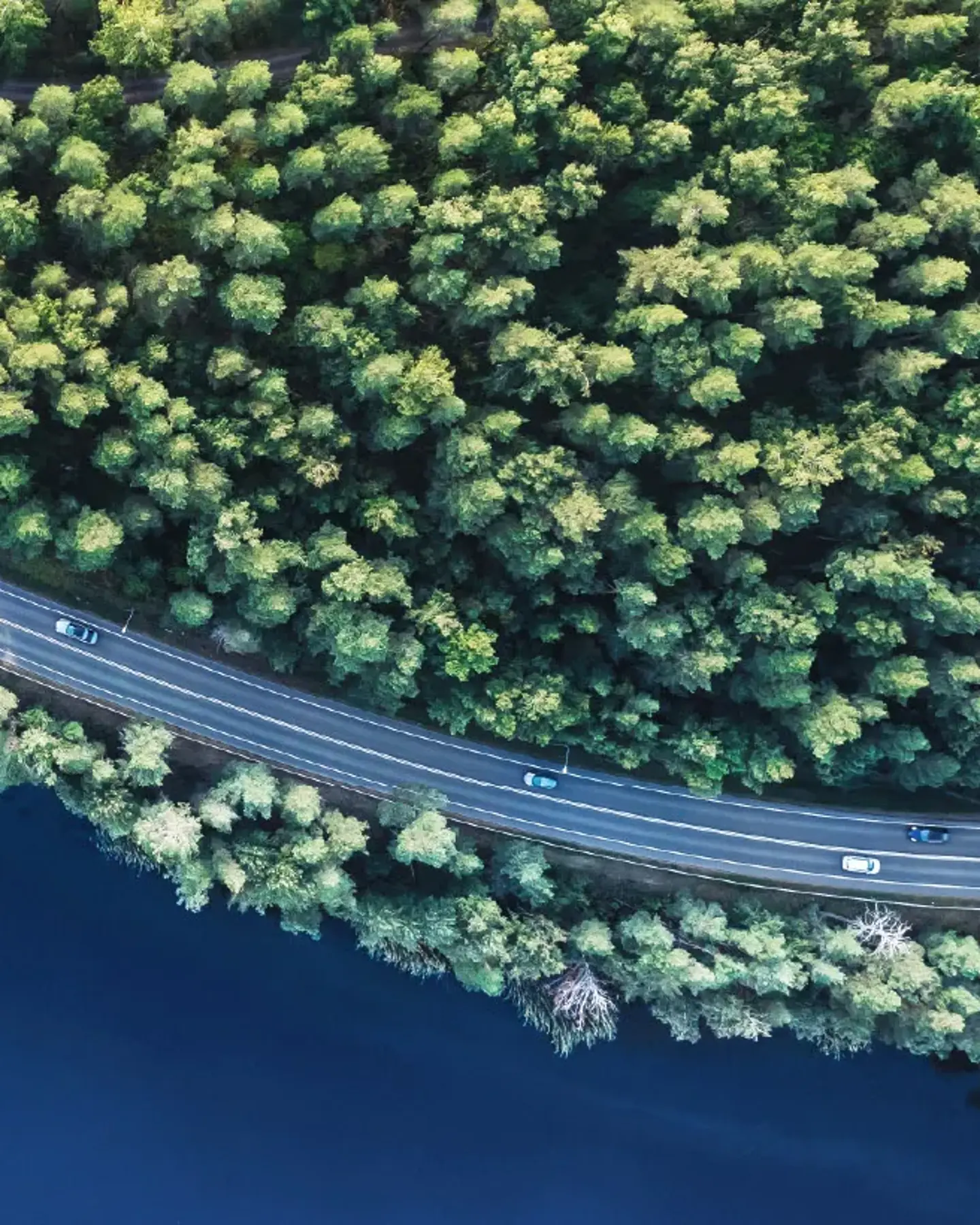 Acting now. Sustainability@ZF