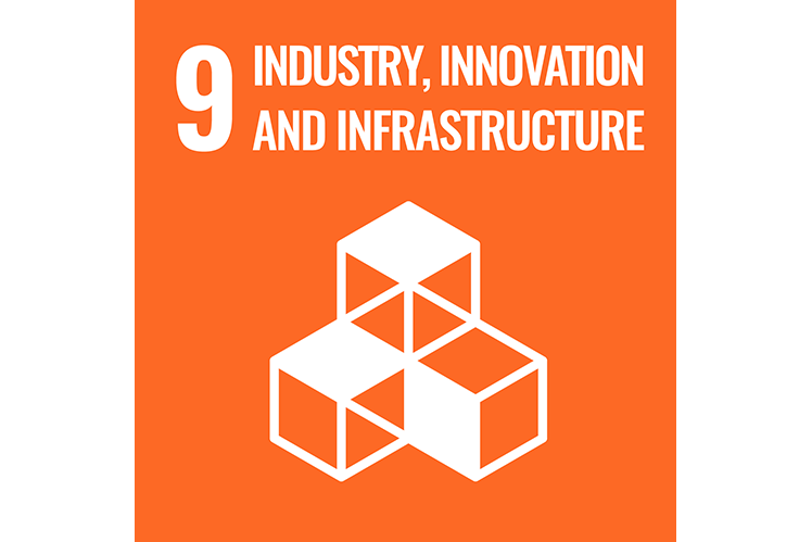 SDG9