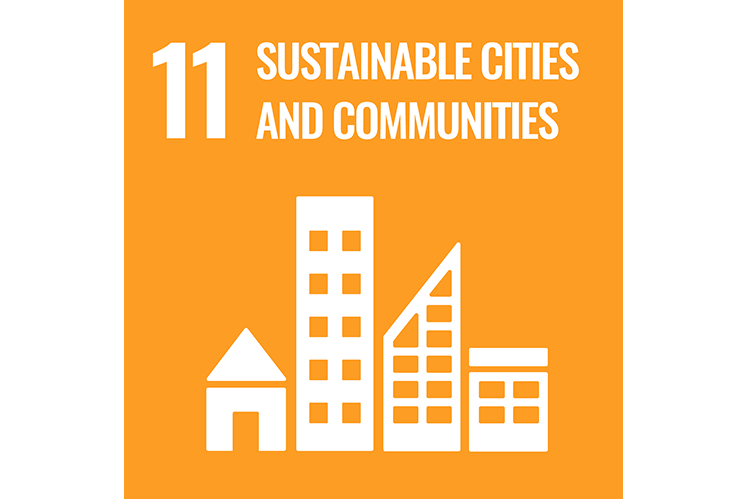 SDG11