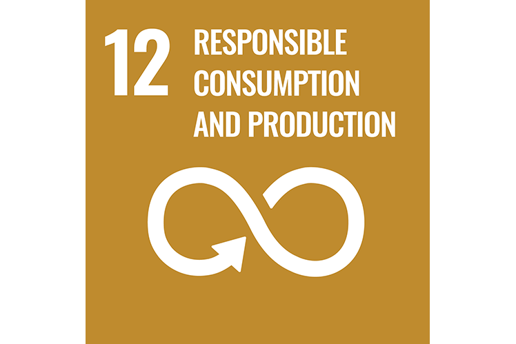 SDG12