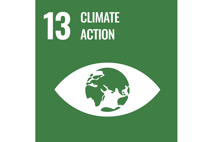 SDG13