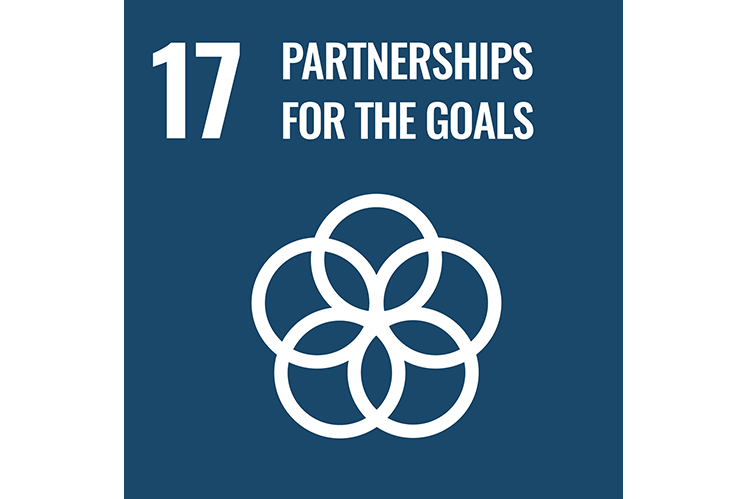 SDG17