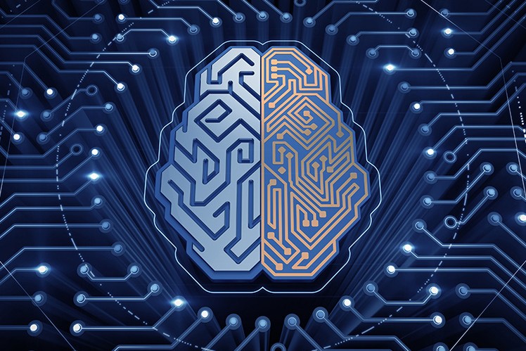 A generated image depicting a combination of a human and electronic brain.