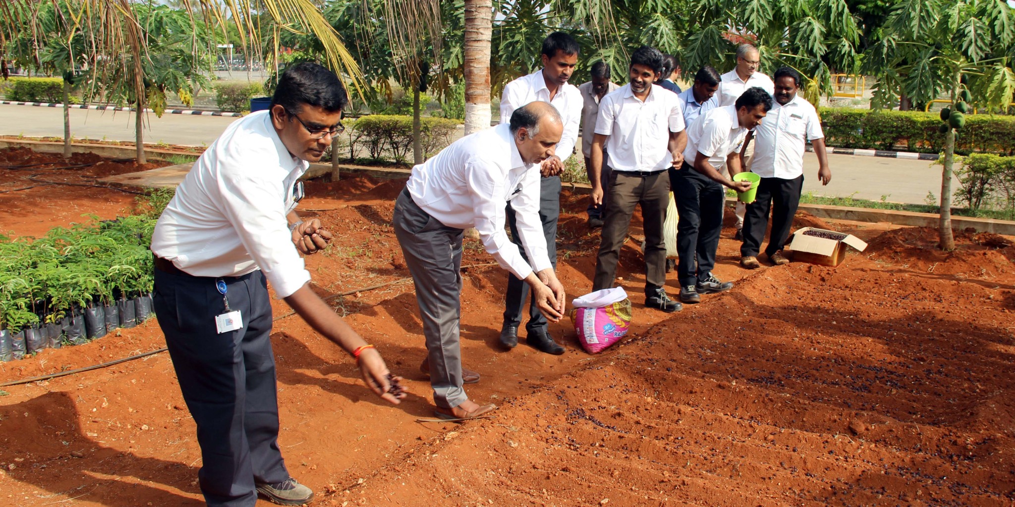 Die Setzlinge für die Bäume (im Bildhintergrund) entstehen aus selbst ausgebrachten Samen.  