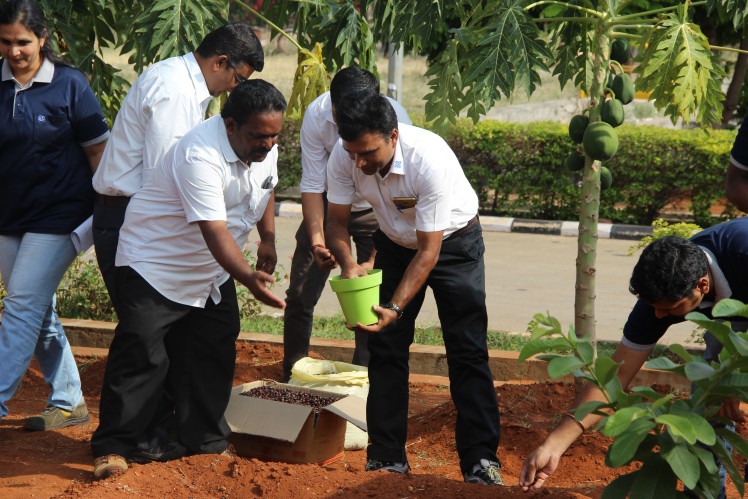 Striving for a Greener India