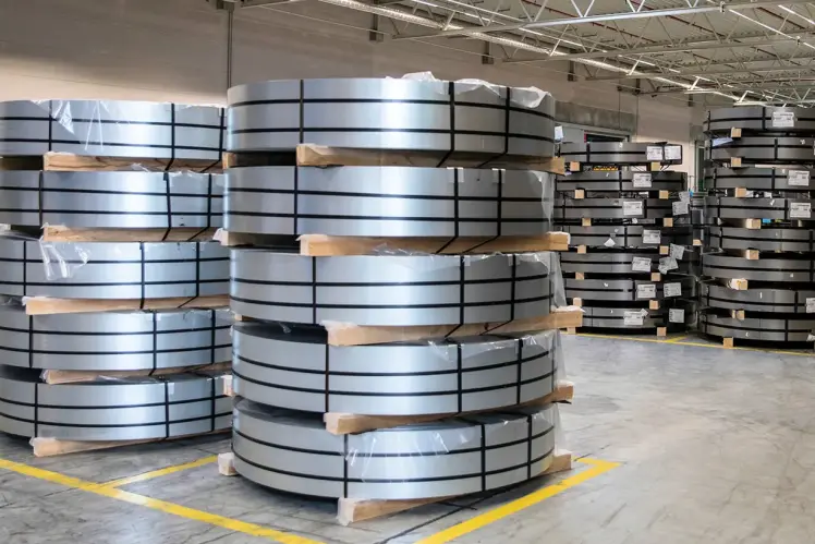 Striving for a Greener India