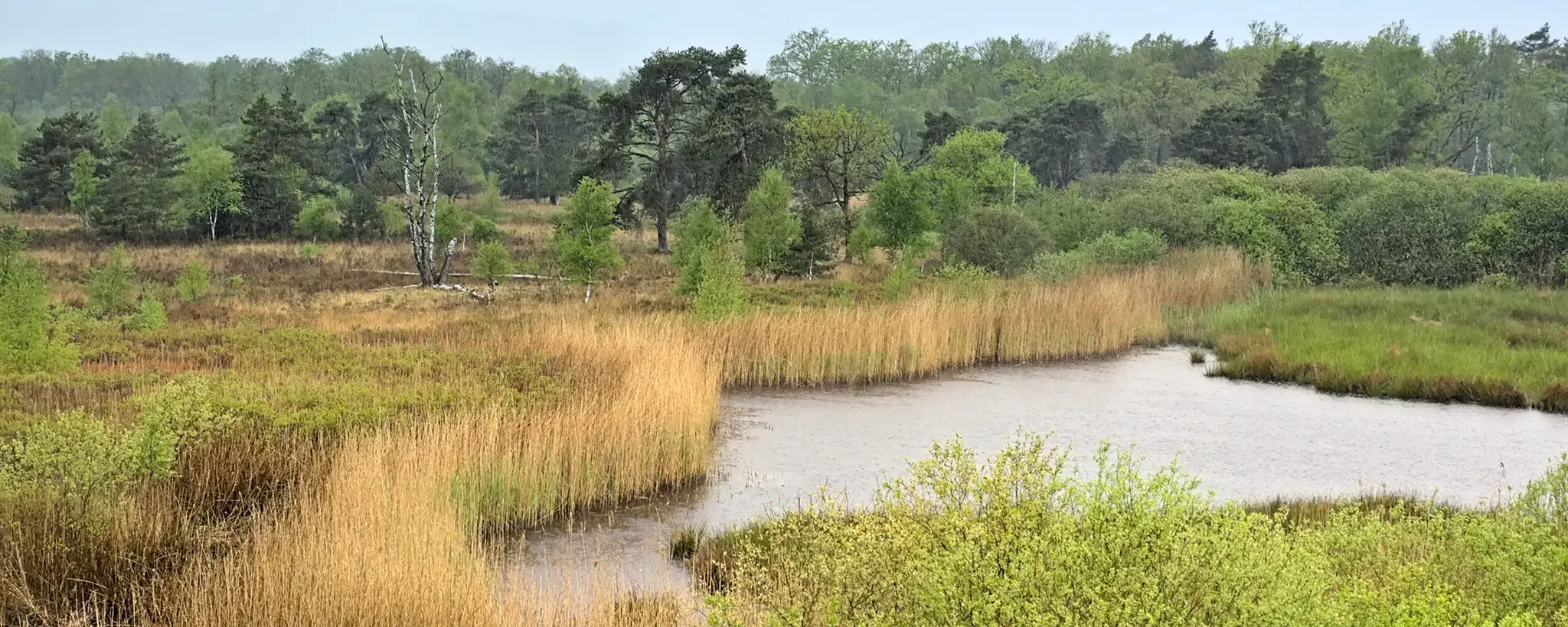 GreenPackaging – Profitable Climate Protection