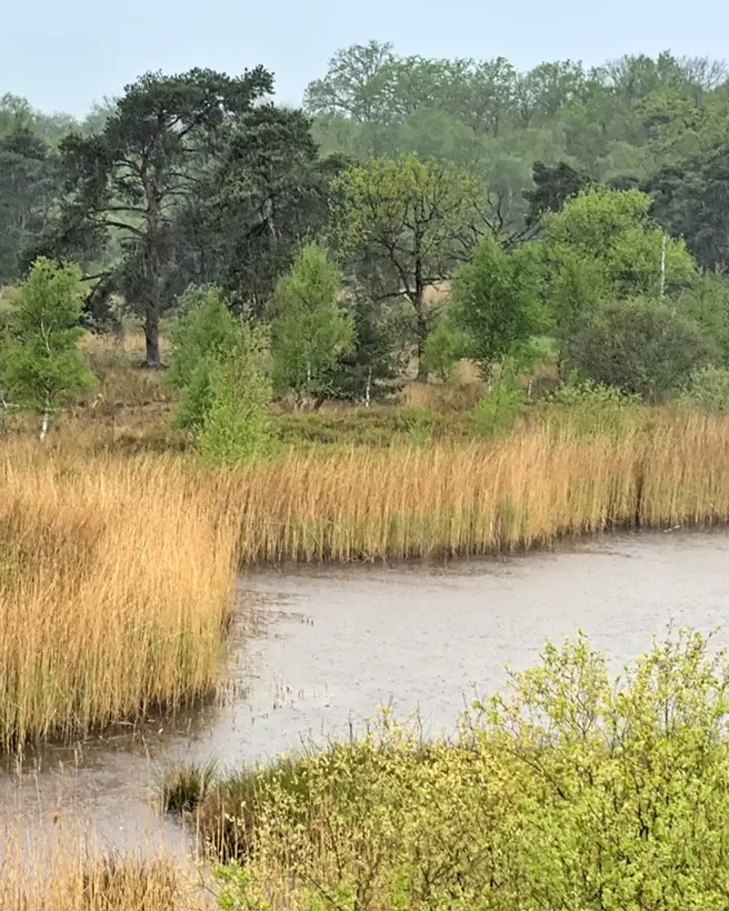 GreenPackaging – Profitable Climate Protection