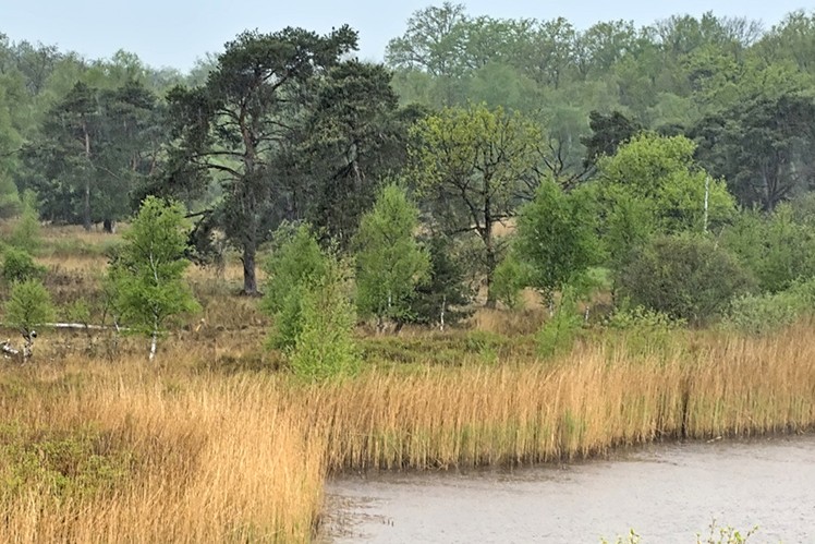 Green Packaging – Profitable Climate Protection