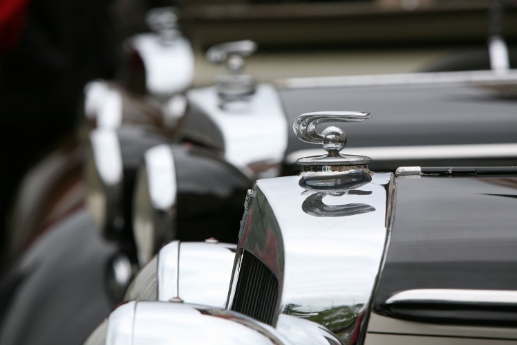 Detail of three Horch cars standing next to each other and their radiator mascots.