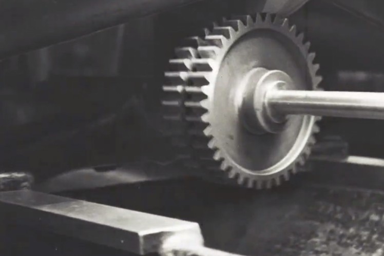 Video zeigt die Zahradproduktion