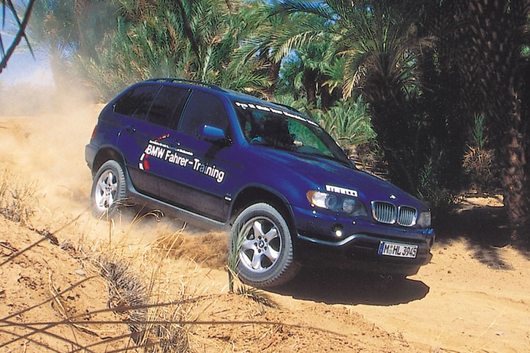 Ein dunkelblauer BMW X5 fährt vor einigen Palmen eine Düne hinunter.