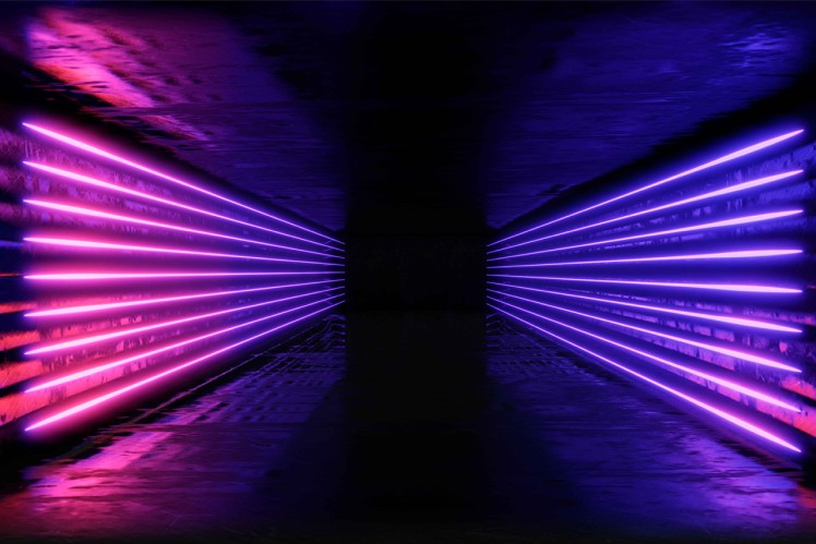 Digital image of lines in purple and pink
