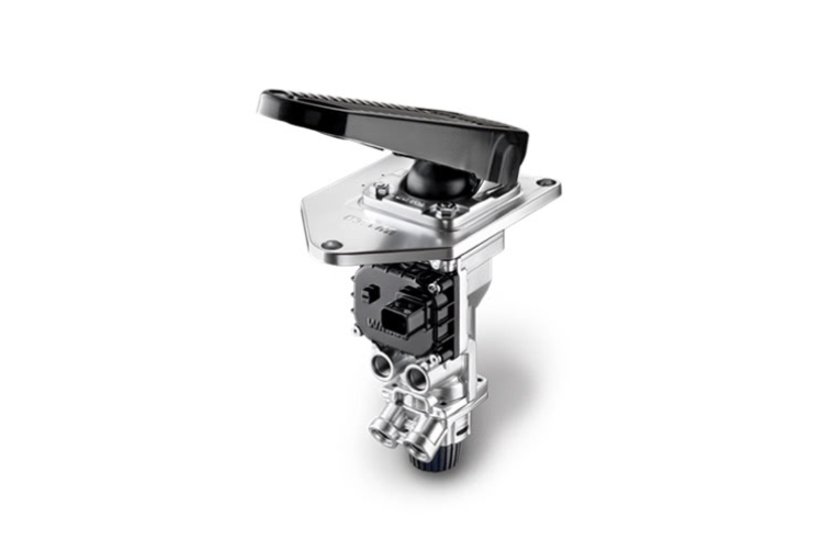 ZF EBS