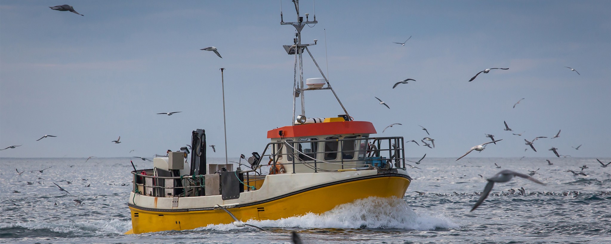 Application image Commercial Fishing