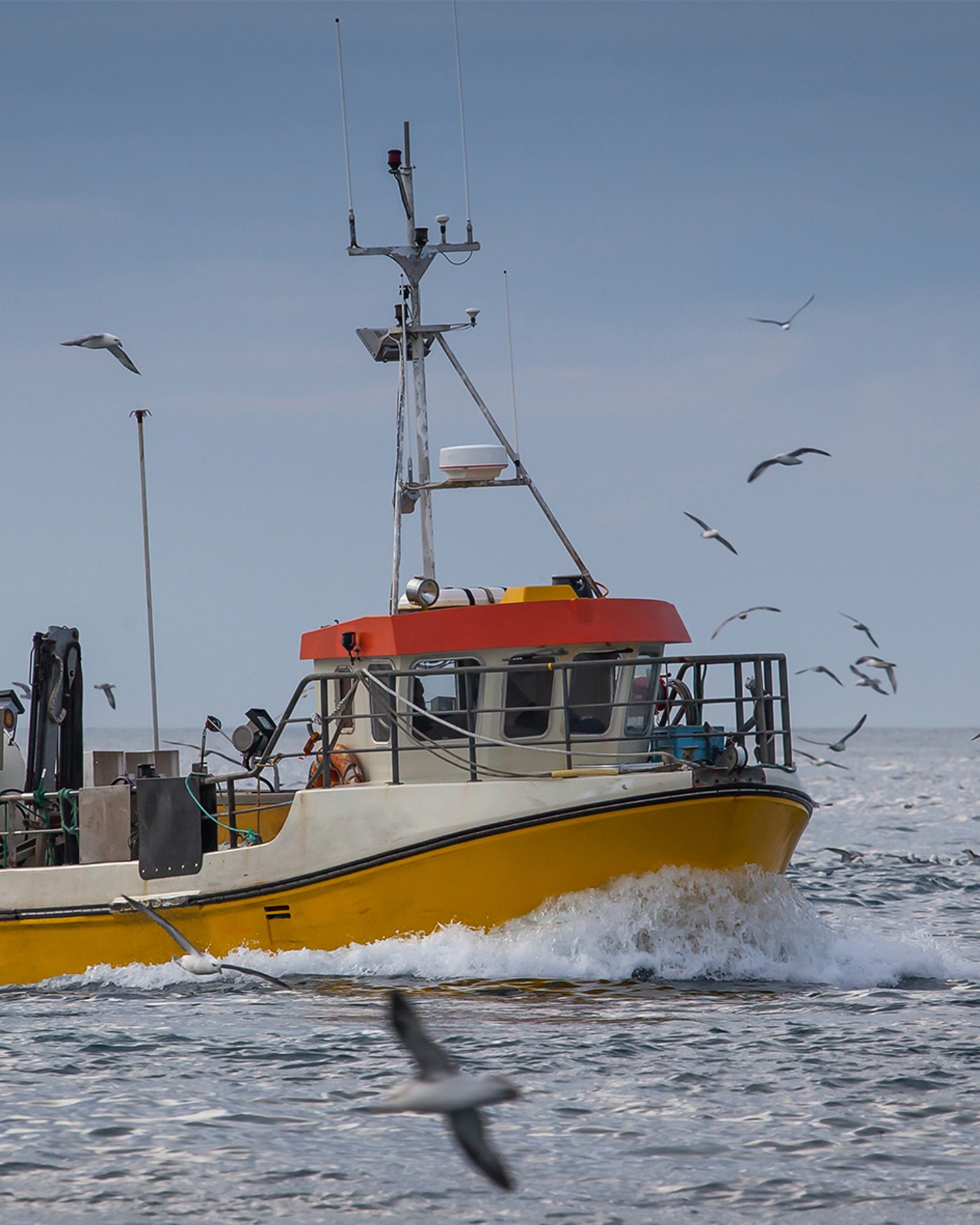 Application image Commercial Fishing