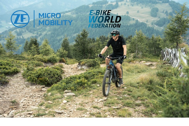 Image of a mountainbiker