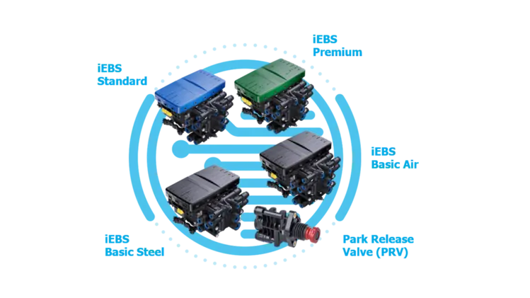 iEBS variants and PRV