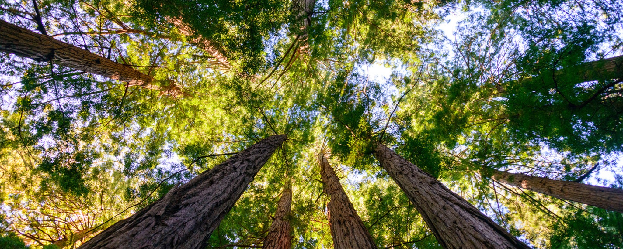 STOCK_IMG_shutterstock_303081878_1