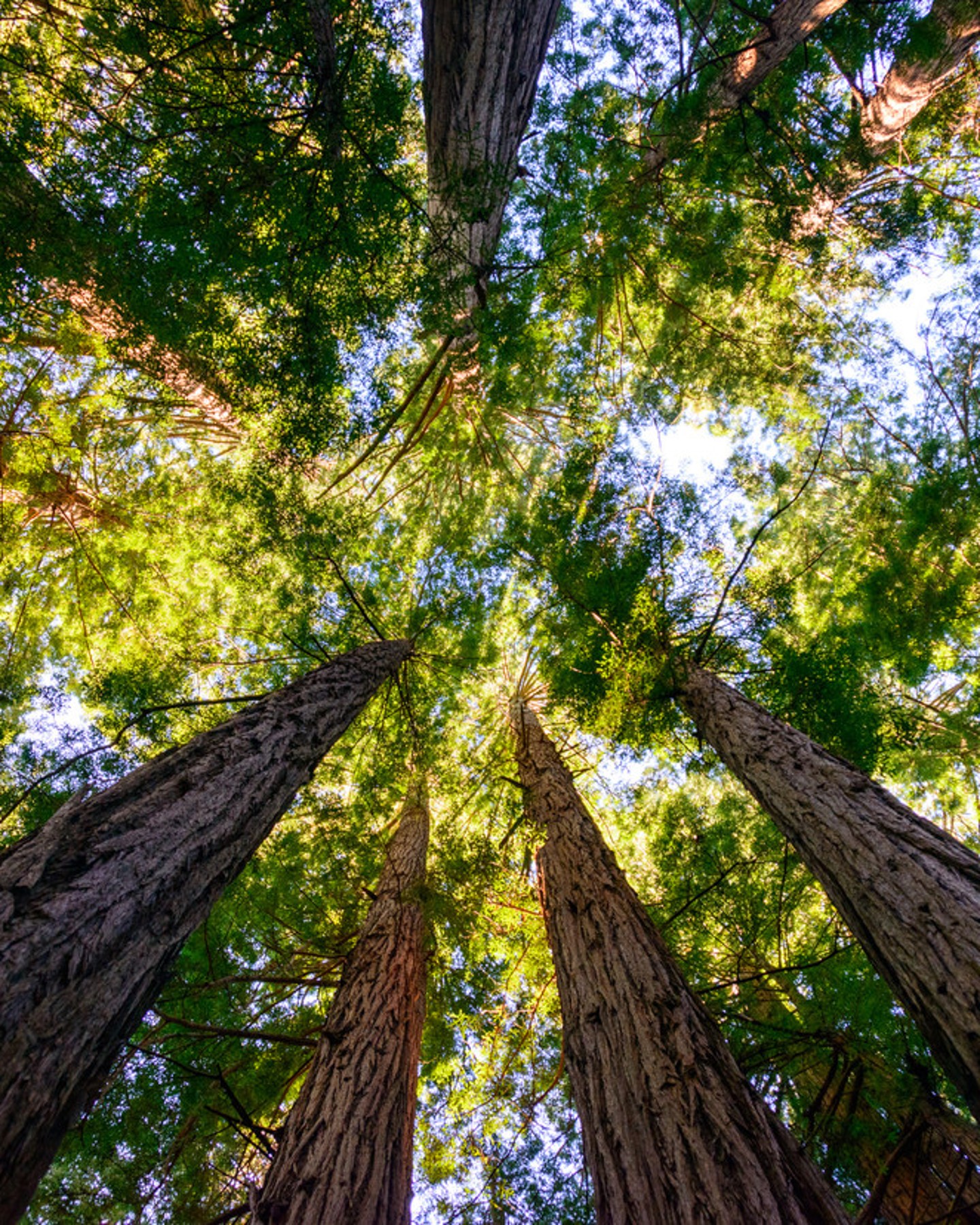 STOCK_IMG_shutterstock_303081878_1